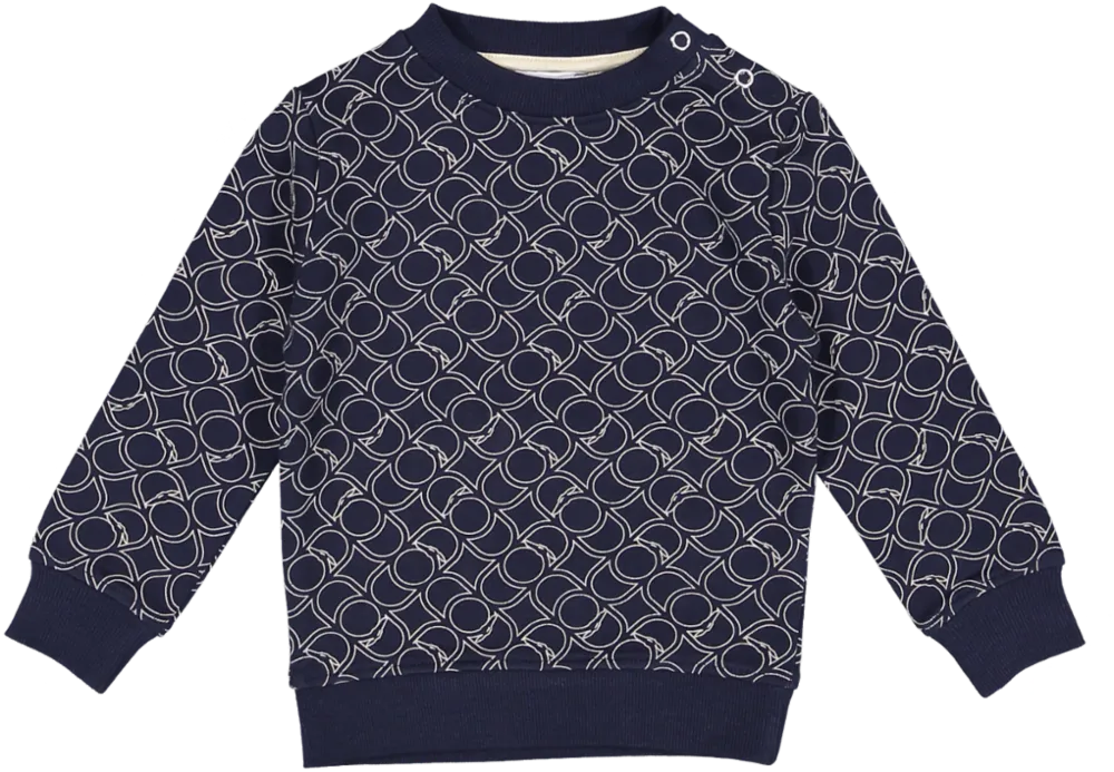 Blue Thuban Sweatshirt