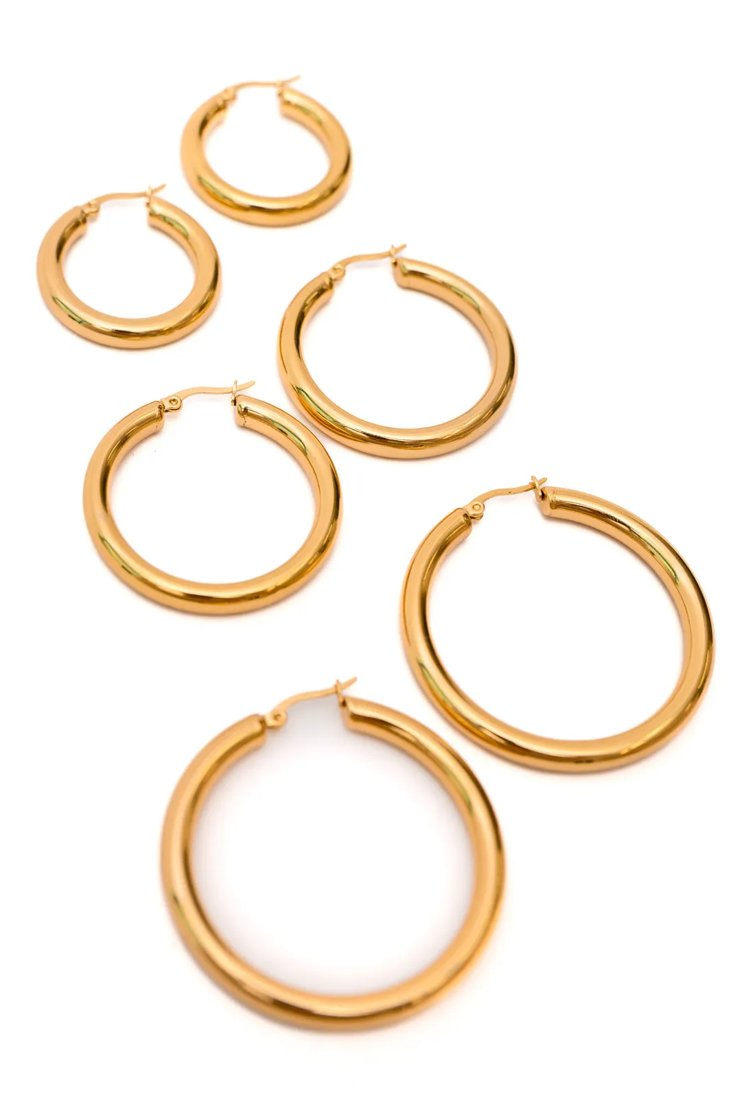 Everyday Gold Hoop Earrings Collection