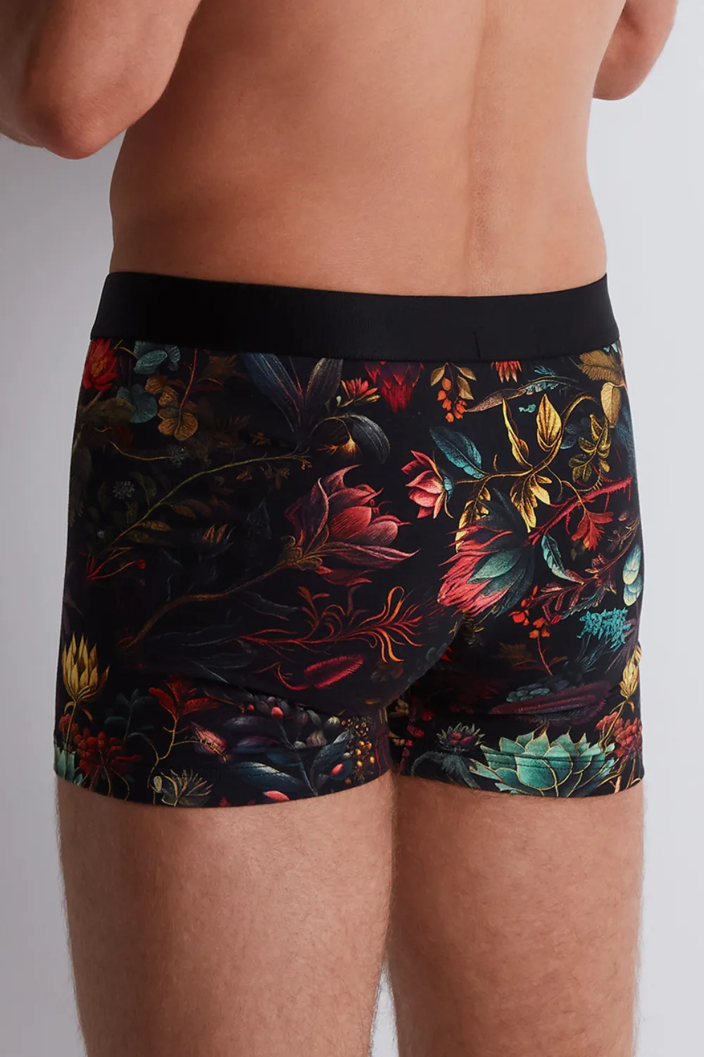 Men's Herbarium Boxer