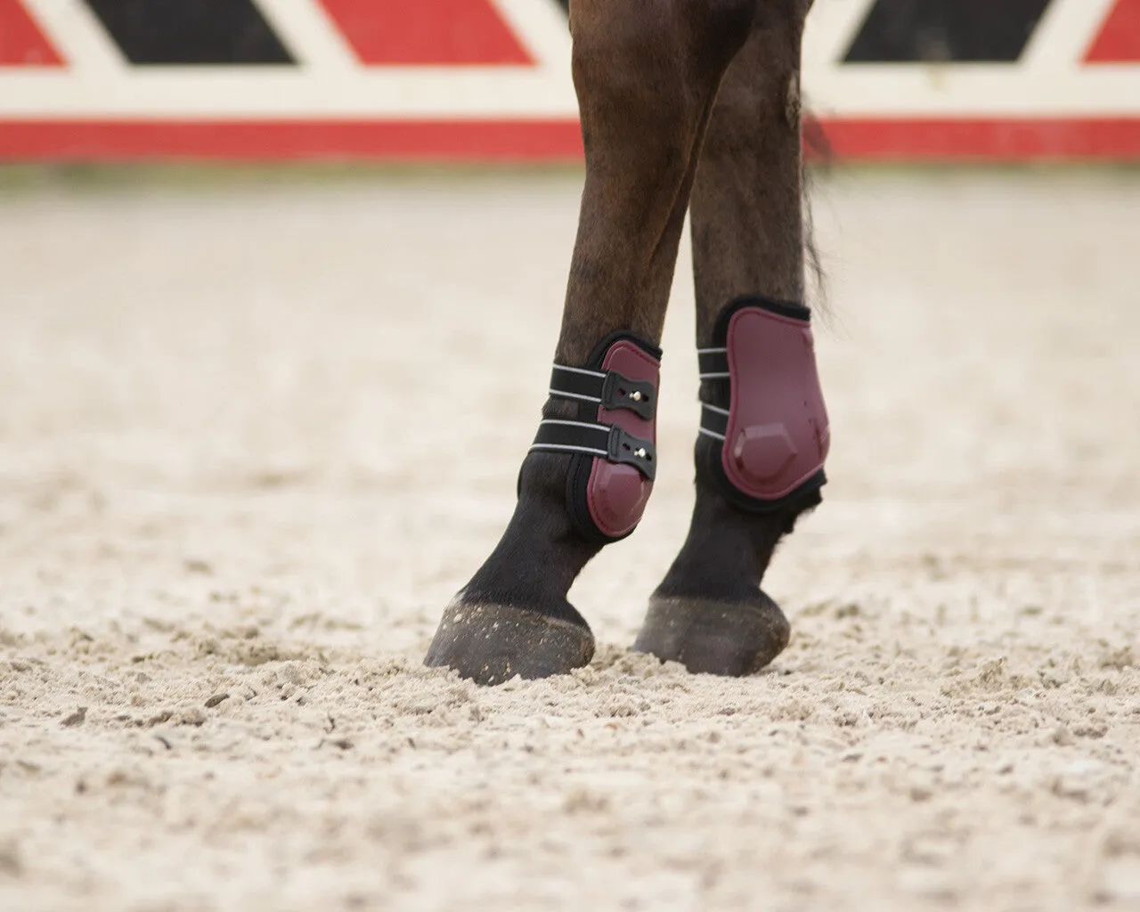 QHP Champion Fetlock Boots