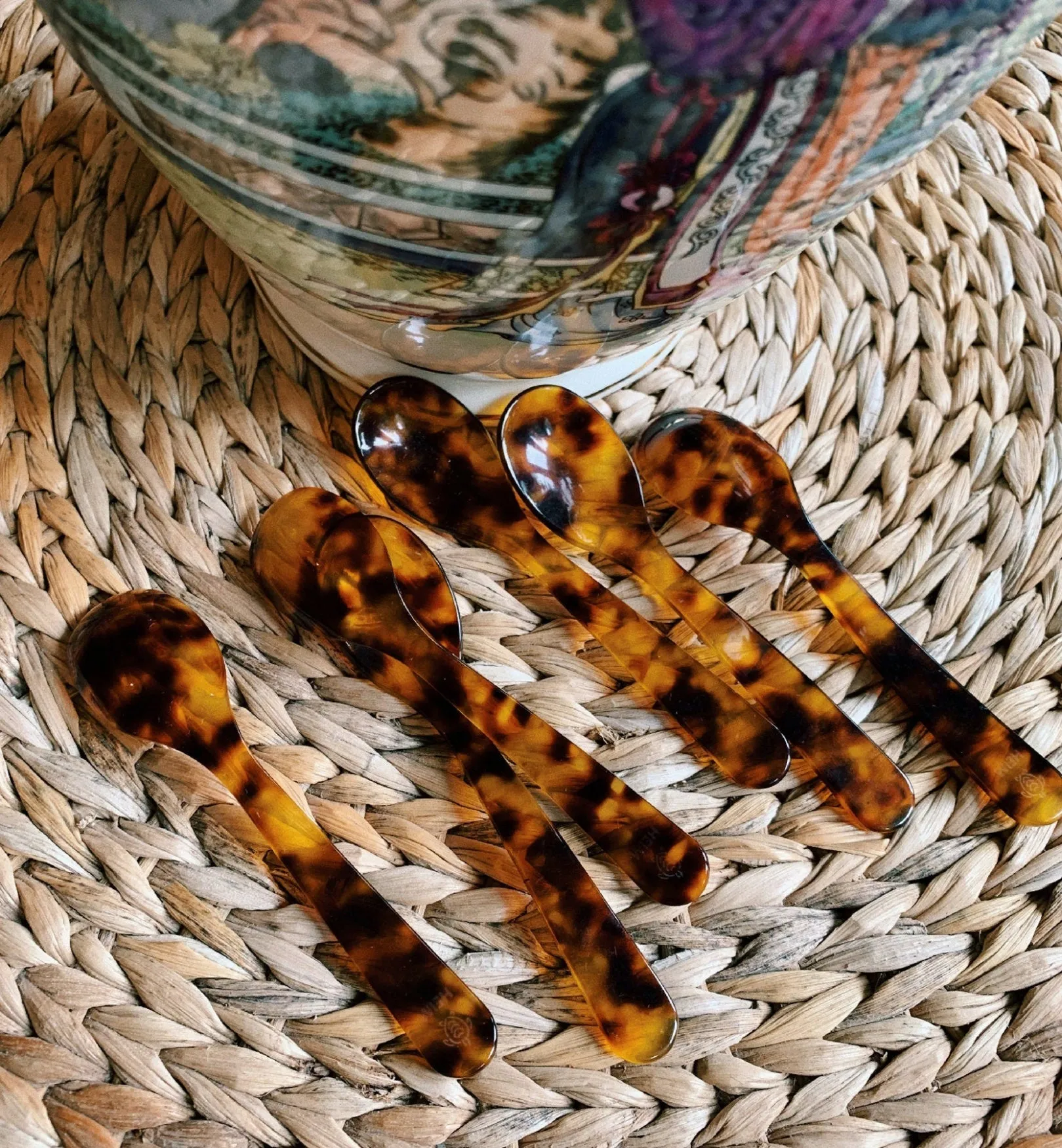 Tortoise Acrylic Teaspoon Set